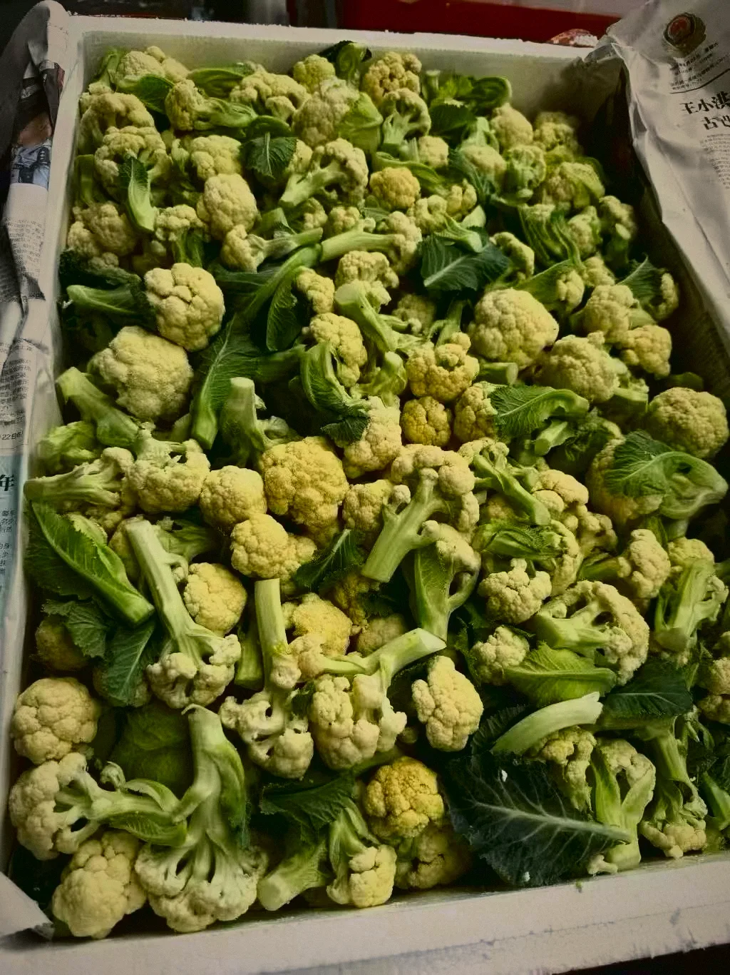 椰菜花 Cauliflower