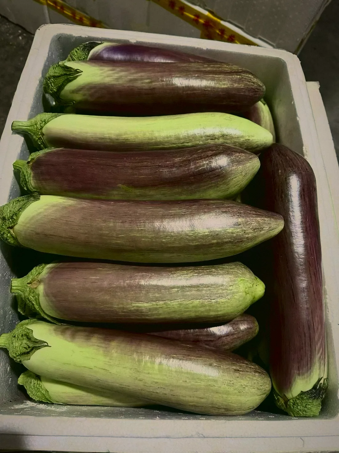 茄子 Eggplant