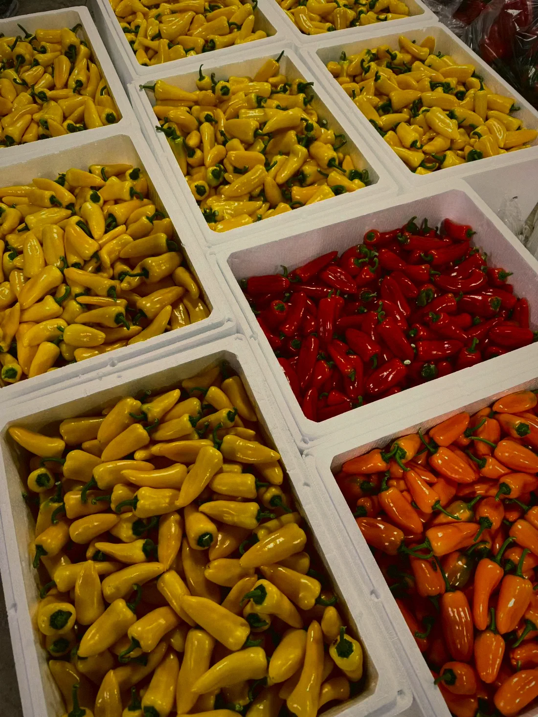 迷你甜椒 Mini Sweet Pepper